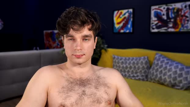 waynenorth Chaturbate 06-10-2024 Males