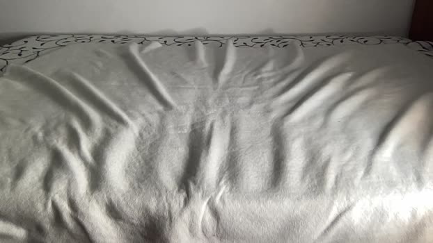 bestdick1991 Chaturbate 09-10-2024 Males
