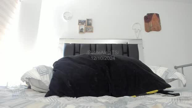 petitealejats Chaturbate 12-10-2024 Trans