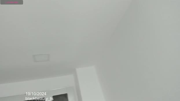blackbeauty_ts Chaturbate 19-10-2024 Trans