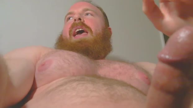 pec_inspector Chaturbate 19-10-2024 Males