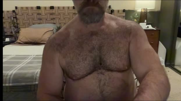 bearjocknwdc Chaturbate 24-10-2024 Males
