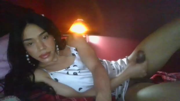 dynasty313 Chaturbate 24-10-2024 Trans