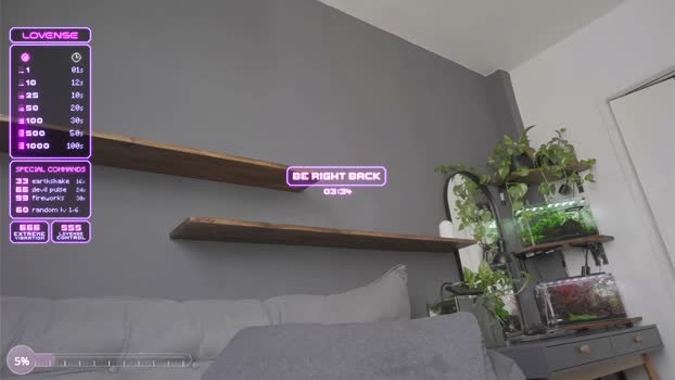 mystic_bunny Chaturbate 26-10-2024 Trans