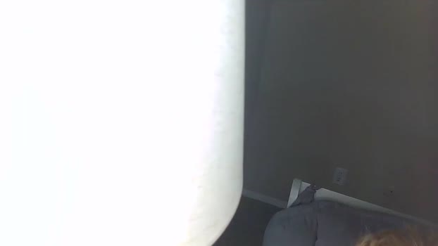 daddybryce0 Cam Webcam SHOW @ Chaturbate 31-10-2024