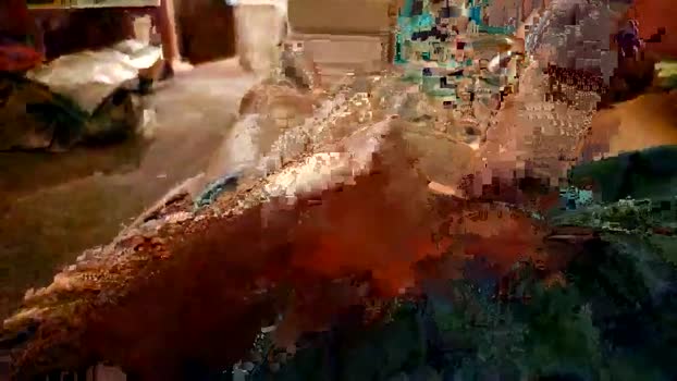shortbutdicktall1991 lush Webcam SHOW @ Chaturbate 18-11-2024