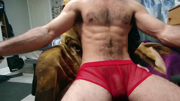 bigdickyduby analsex Webcam SHOW @ Chaturbate 03-12-2024