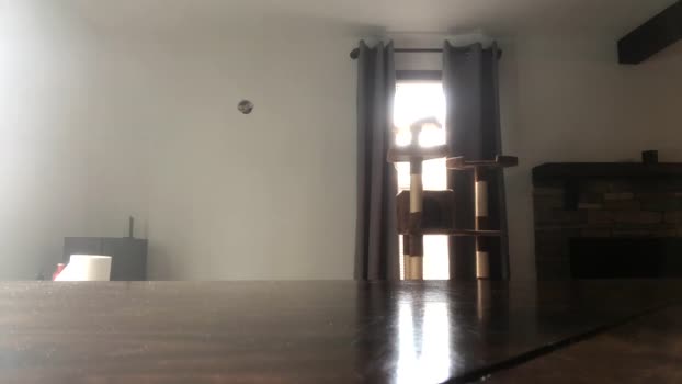 deviantill analsex Webcam SHOW @ Chaturbate 05-12-2024
