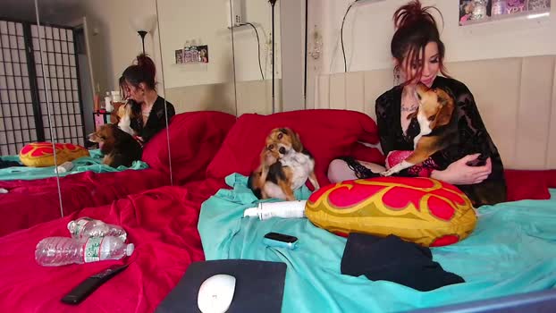peggingattiffanys sweet Webcam SHOW @ Chaturbate 15-12-2024