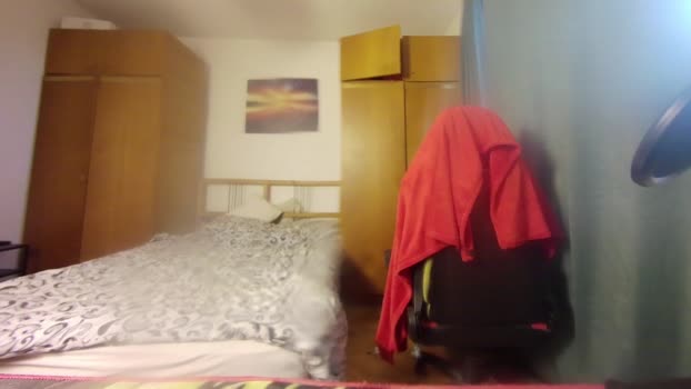 muslejoker lush Webcam SHOW @ Chaturbate 17-12-2024