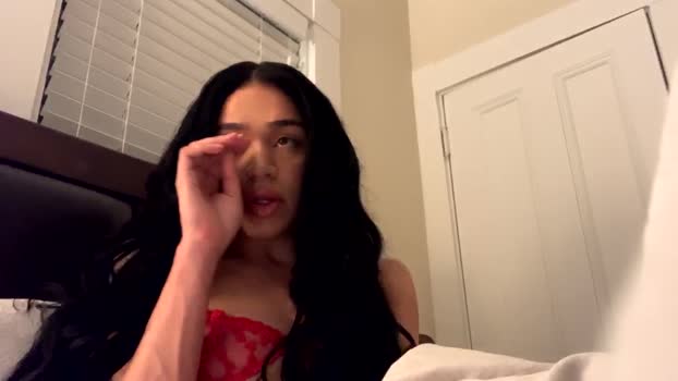 dynasty313 bigdick Webcam SHOW @ Chaturbate 17-12-2024