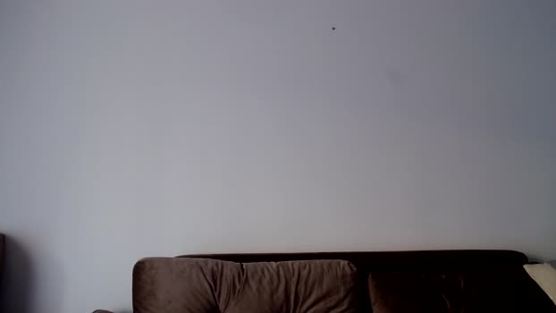 o_r_b_i_t bigballs Webcam SHOW @ Chaturbate 19-12-2024