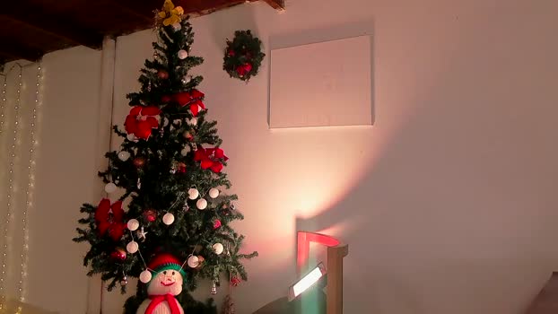 lola_cocks skinny Webcam SHOW @ Chaturbate 24-12-2024