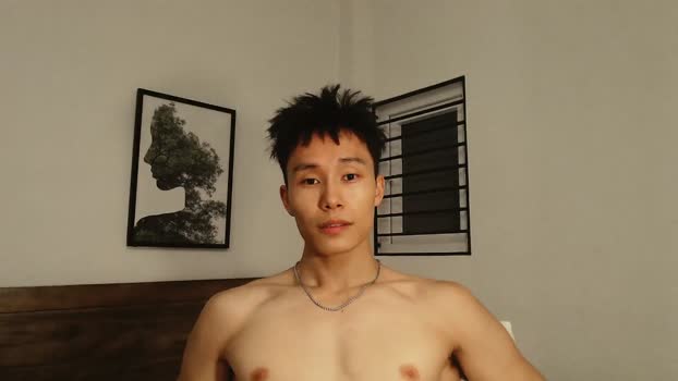 chan_pak lush Webcam SHOW @ Chaturbate 26-12-2024