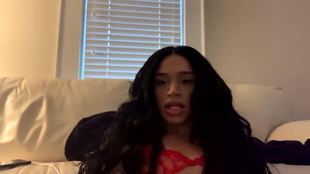 dynasty313 jerkoff Webcam SHOW @ Chaturbate 25-12-2024