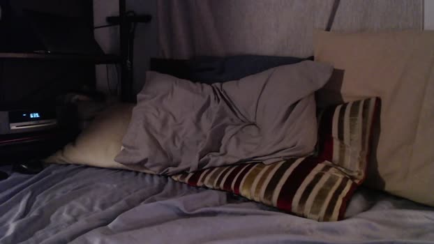 wherehaveyoubeenbitch harddick Webcam SHOW @ Chaturbate 29-12-2024