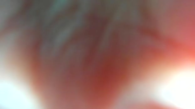 kobayaske suck Webcam SHOW @ Chaturbate 05-01-2025