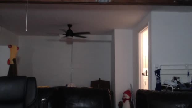 unicornspit11 jerkoff Webcam SHOW @ Chaturbate 12-01-2025