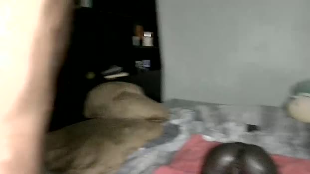 ryanhairystud love Webcam SHOW @ Chaturbate 15-01-2025