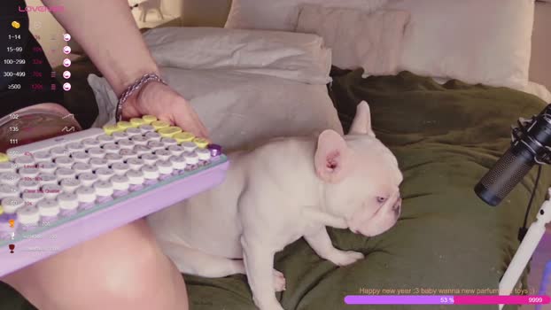rose_monarch hardcore Webcam SHOW @ Chaturbate 18-01-2025