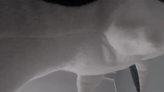 snowbunnydaddyy