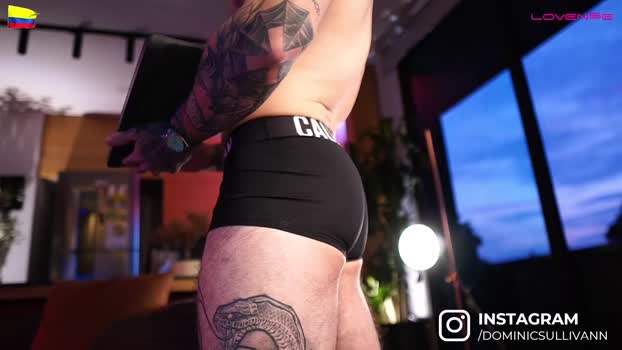 dominic_sullivan1 Recorded Webcam SHOW @ Chaturbate 19-01-2025