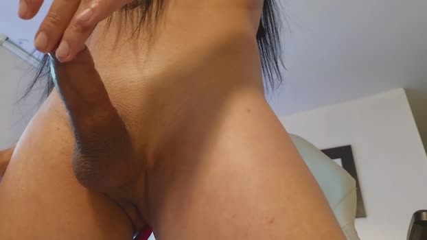 miavero Porn Webcam SHOW @ Chaturbate 27-01-2025