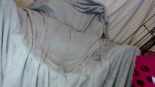 ogdigbick ass Webcam SHOW @ Chaturbate 01-02-2025