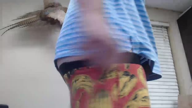 talltexxxan sweet Webcam SHOW @ Chaturbate 04-02-2025