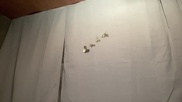 cheskahouston fuckface Webcam SHOW @ Chaturbate 04-02-2025