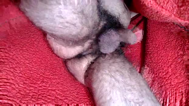 leccameloadesso2 horny Webcam SHOW @ Chaturbate 15-02-2025