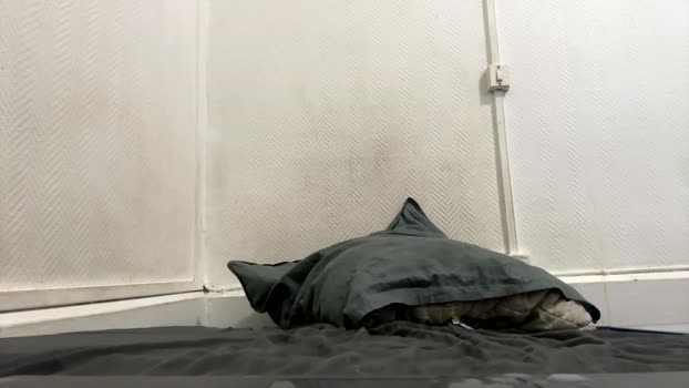 splashyyyz big Webcam SHOW @ Chaturbate 19-02-2025