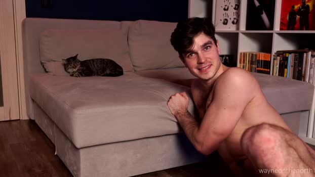 waynenorth jerkoff Webcam SHOW @ Chaturbate 20-02-2025