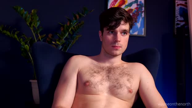 waynenorth twink Webcam SHOW @ Chaturbate 20-02-2025