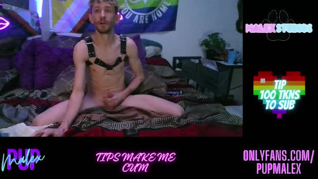 pup_malex suckcock Webcam SHOW @ Chaturbate 23-02-2025