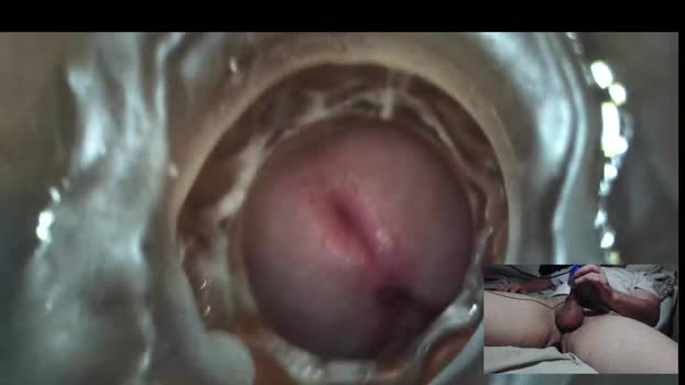 xoxowtf moan Webcam SHOW @ Chaturbate 24-02-2025
