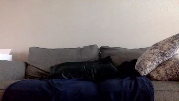 ccmanrivs120 Topless Webcam SHOW @ Chaturbate 10-03-2025