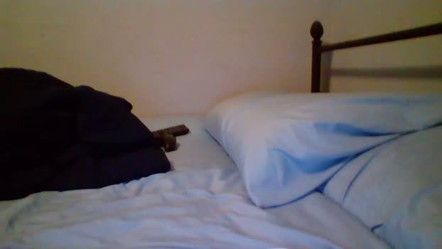bobby72738 amateur Webcam SHOW @ Chaturbate 17-03-2025