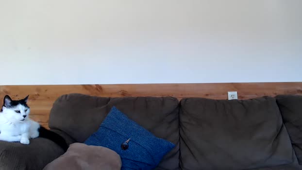 lancehardin Cam Webcam SHOW @ Chaturbate 18-03-2025
