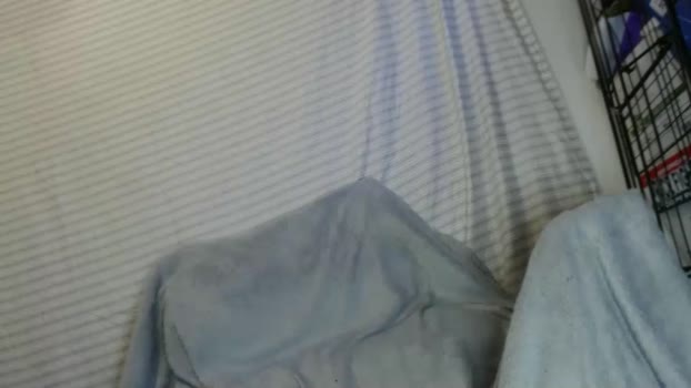 ogdigbick Topless Webcam SHOW @ Chaturbate 18-03-2025