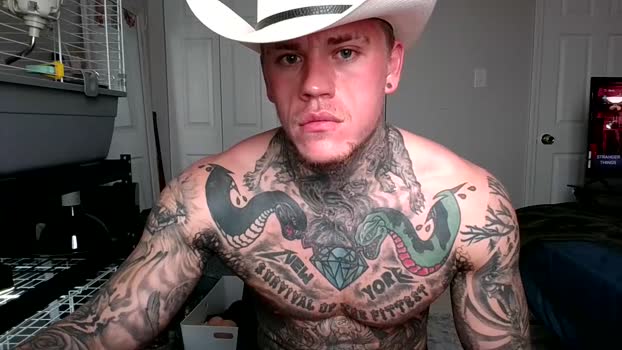 tatteddaddy9000 lush Webcam SHOW @ Chaturbate 25-03-2025