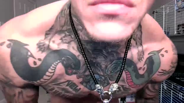 tatteddaddy9000 Naked Webcam SHOW @ Chaturbate 28-03-2025