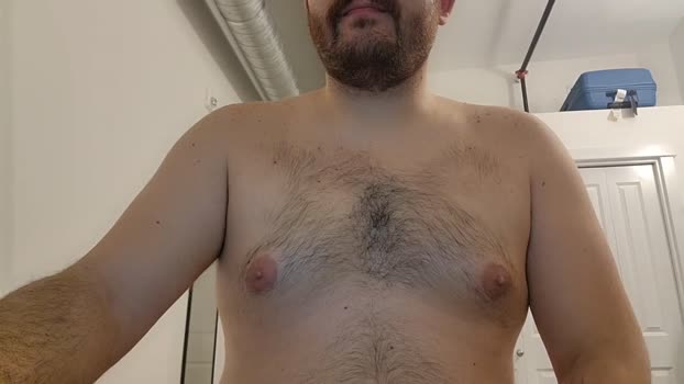 halalbear