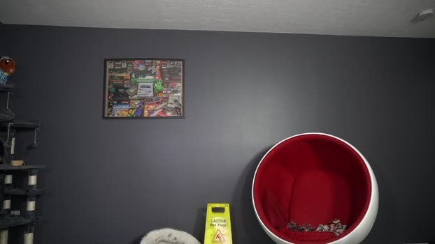 sydaffect bigass Webcam SHOW @ Chaturbate 01-04-2025