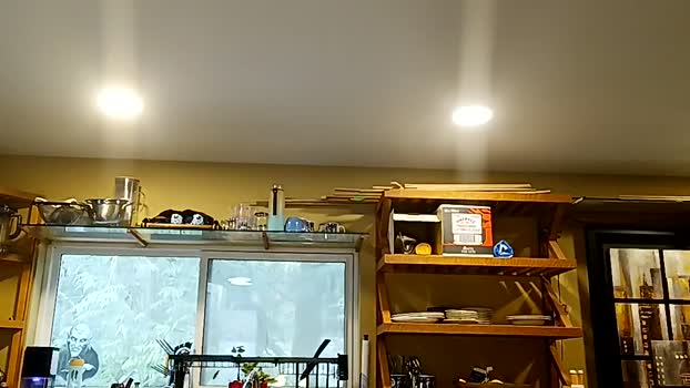 info_chat fuckass Webcam SHOW @ Chaturbate 11-04-2025