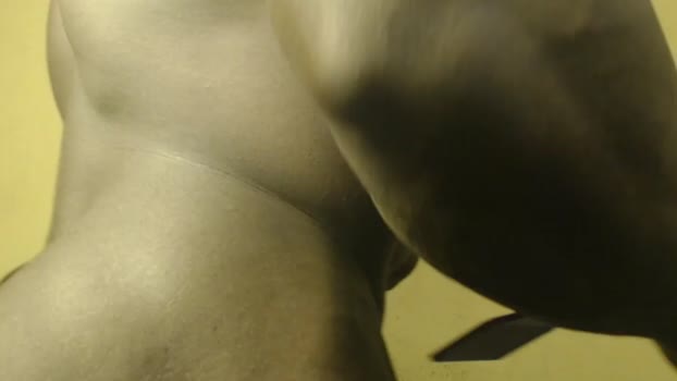 musclegodsammy23 bigtoys Webcam SHOW @ Chaturbate 01-05-2025