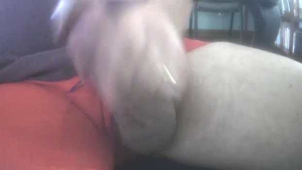 il_undercover ass Webcam SHOW @ Chaturbate 03-05-2025