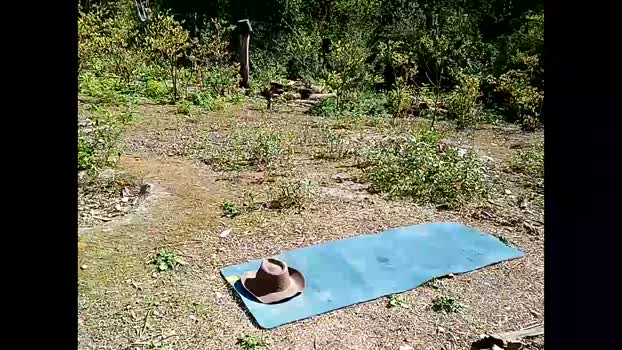 info_chat bigcock Webcam SHOW @ Chaturbate 03-05-2025