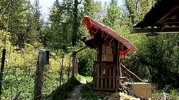 info_chat bj-dildo Webcam SHOW @ Chaturbate 04-05-2025