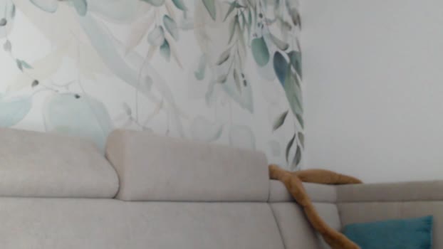 hornyasfuckk33 Recorded Webcam SHOW @ Chaturbate 19-05-2025